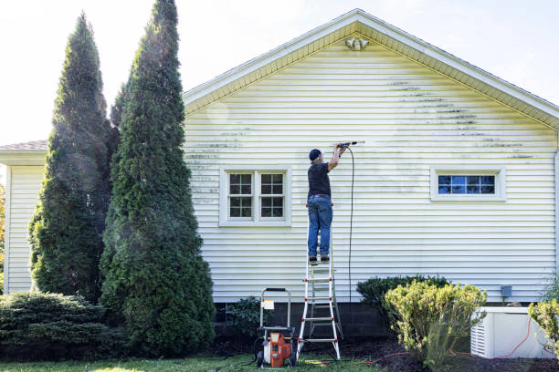 Best Gutter Cleaning in Bishopville, SC